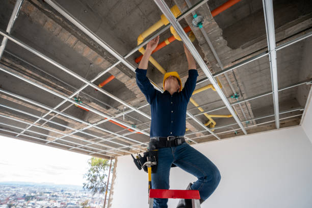 Best Plumbing Inspection Services  in Sells, AZ