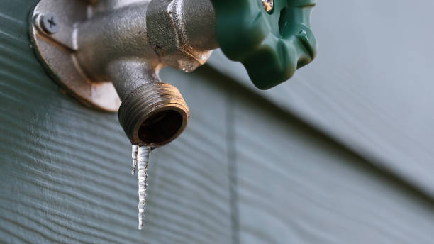 Best Residential Plumbing Services  in Sells, AZ