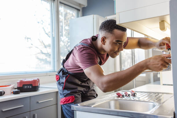 Best Same-Day Plumbing Service  in Sells, AZ